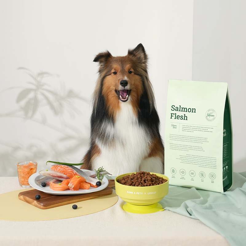 강아지 눈 건강을 위한 수제 사료, 자연스럽게 챙기기 좋은 연어 스팀 저알러지 제품