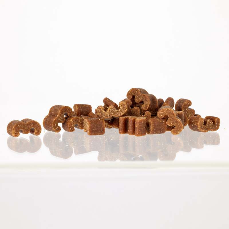 반려견 건강을 위한 관절 영양제, 쉽게 챙기기!