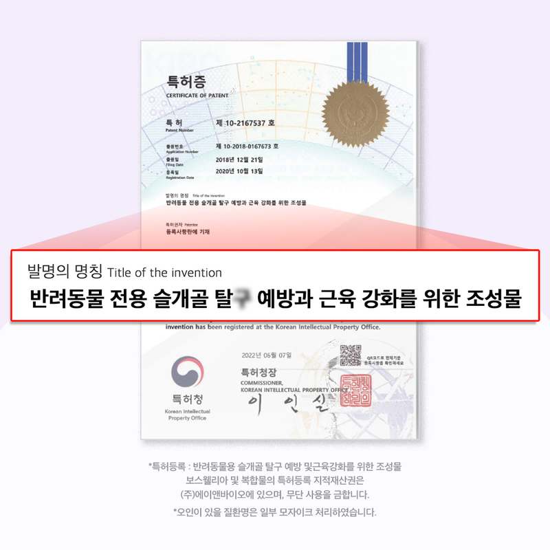 강아지 관절 건강, 이렇게 챙기면 좋아요! 친근한 관절 영양제 추천