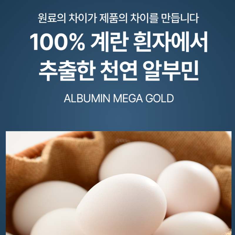 쉽고 맛있게 난백 영양 챙기기! 알부민 메가 골드 고함량 제품 소개