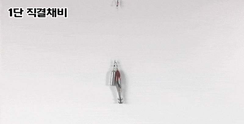 쉽고 편하게 즐기는 쭈꾸미 낚시, 델리온 델리리그 2세대 채비 추천!