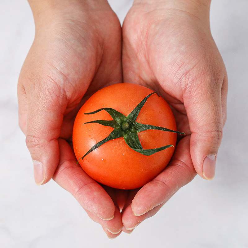 달콤하고 신선한 방울토마토로 건강한 주스 만들어보세요!