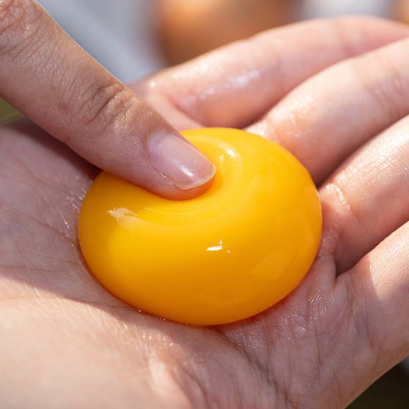 자연에서 온 신선한 계란, 유정란 20개 한 상자 어떠세요?