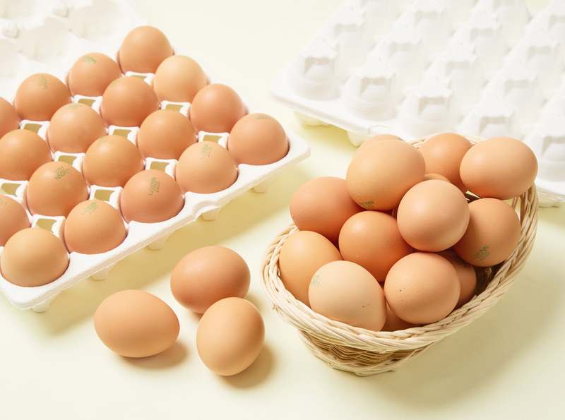 신선하고 건강한 유정란, 20개 한 번에 만나보세요!