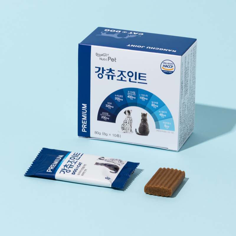 반려동물 건강을 위한 관절 영양제, 이렇게 선택하세요!