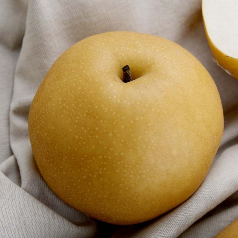 가정에서 즐기는 달콤한 나주배, 신고배로 건강하게 먹어요!