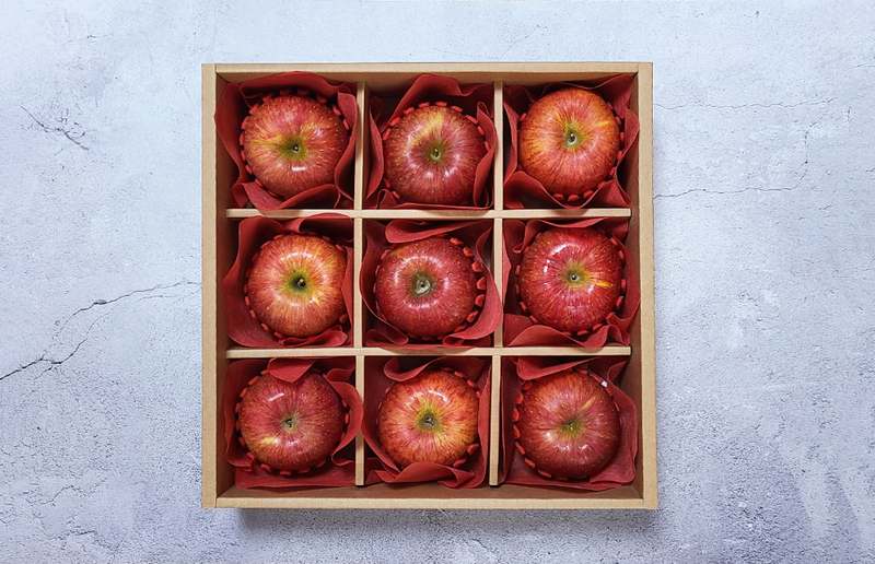 추석 선물로 딱 좋은 과일 세트, 어떤 걸 선택할까 고민되시나요?