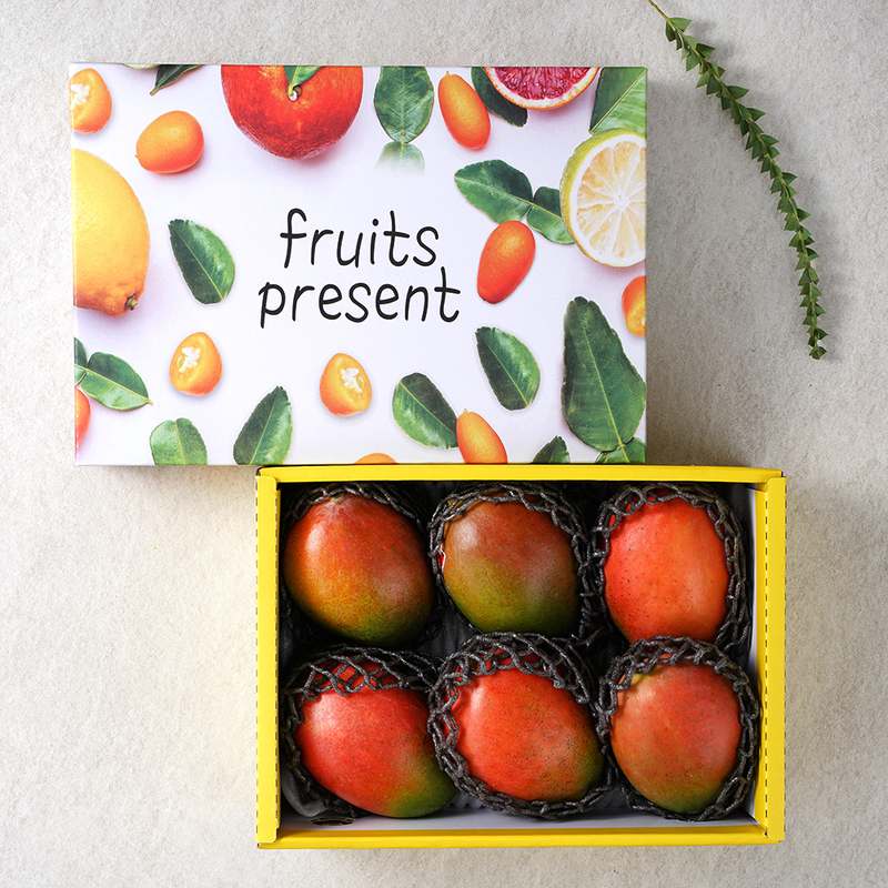 명절에 딱 어울리는 과일 선물세트, 어떤 걸 선택할까 고민되시나요?