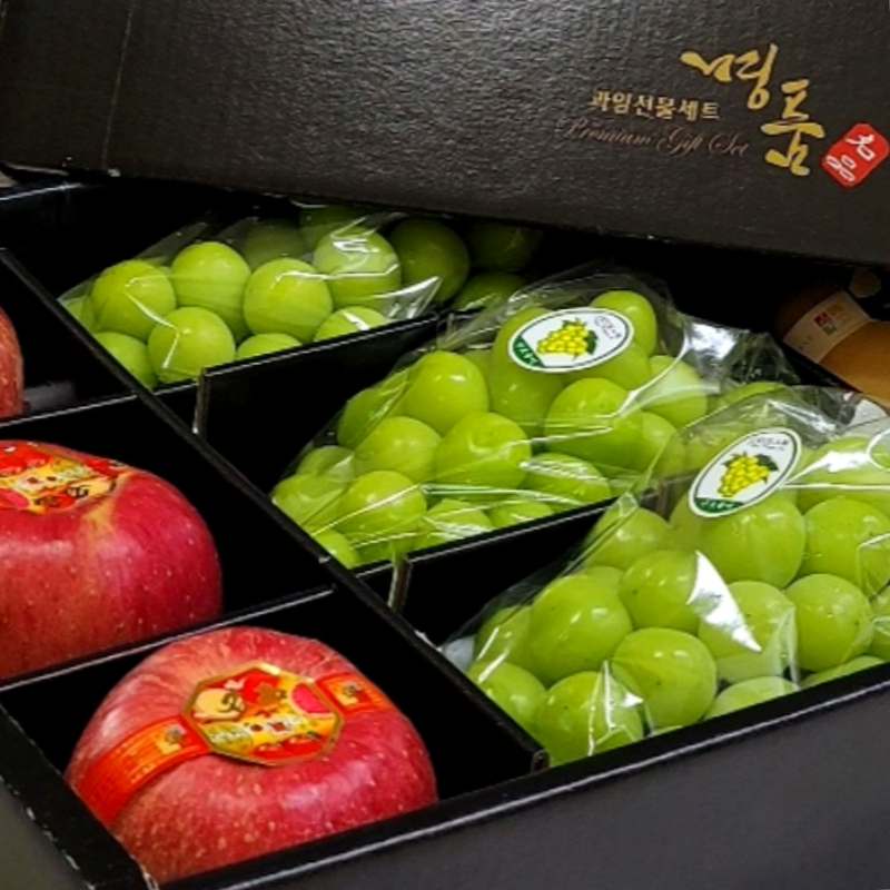 명절 선물로 딱 좋은 혼합 과일 세트, 어떤 걸 선택할까 고민되시나요?