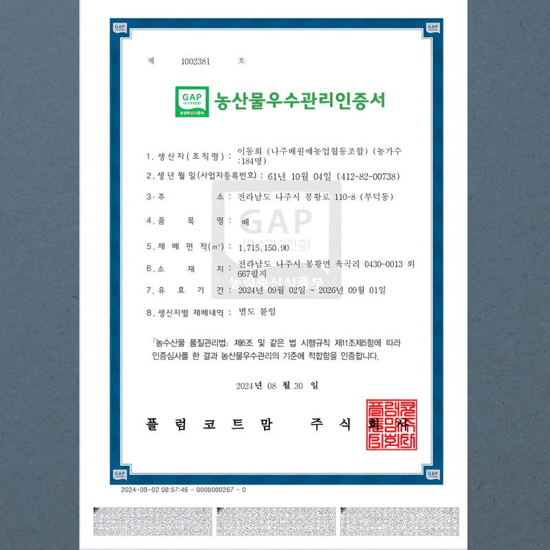 쉽고 맛있게 즐기는 나주 배 선물세트, 특별한 날에 딱 좋아요!