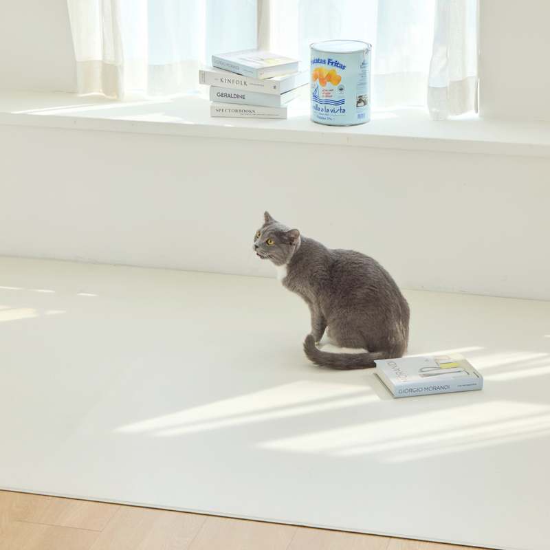 집에서 강아지와 고양이에게 딱 맞는 편안한 매트 추천!