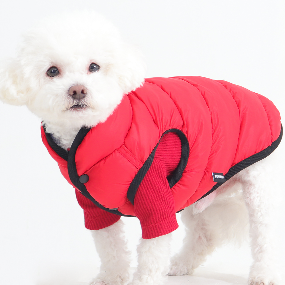 강아지 겨울 옷, 가볍고 따뜻하게 입히는 방법 알려드릴게요!