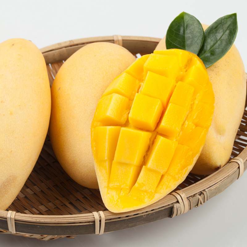 더운 여름날 시원하게 즐기기 딱 좋은 천연 망고바 추천!