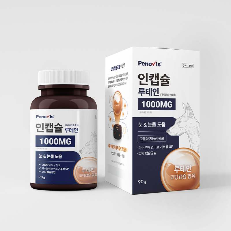 강아지 눈 건강을 위한 영양제, 이제 걱정 끝!