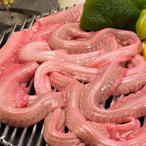 집에서 즐기는 신선한 마산산 손질 꼼장어, 맛있게 먹는 방법과 구매 팁