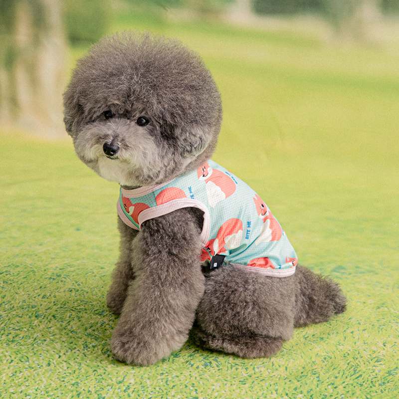 더운 여름 강아지에게 딱! 시원한 쿨 조끼 추천