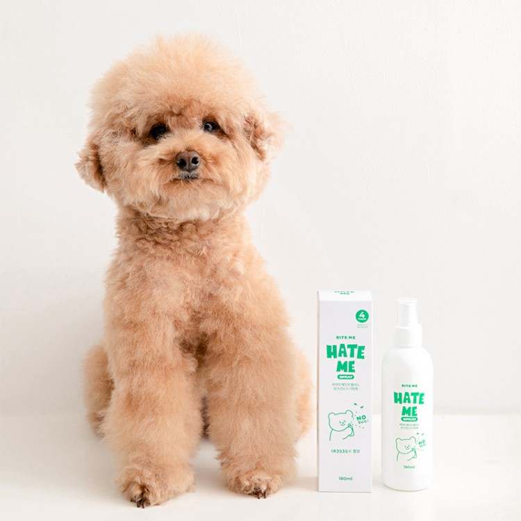 강아지 피부와 건강을 지키는 친근한 해충 방지 스프레이 추천