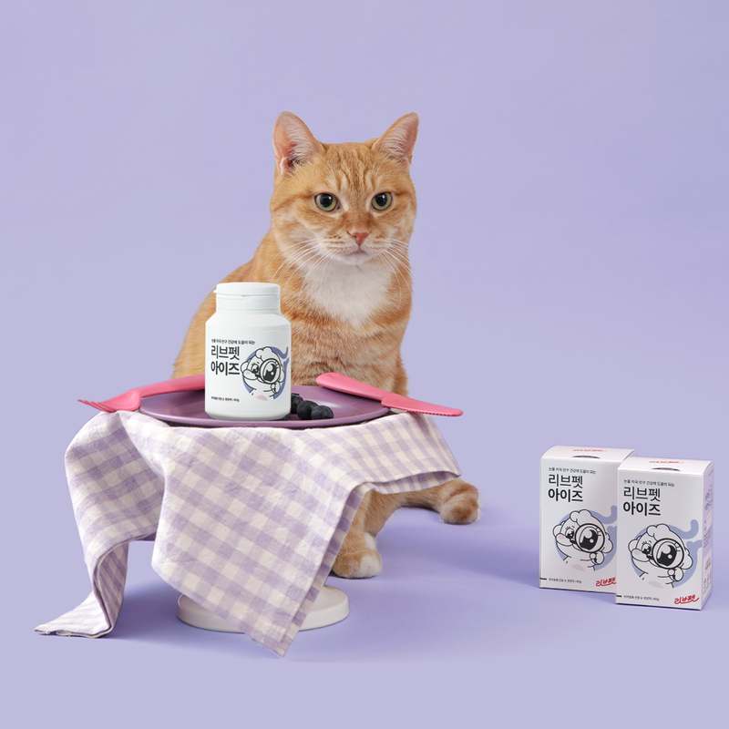 반려동물 눈 건강을 챙기는 간편 영양제, 한번 써보세요!