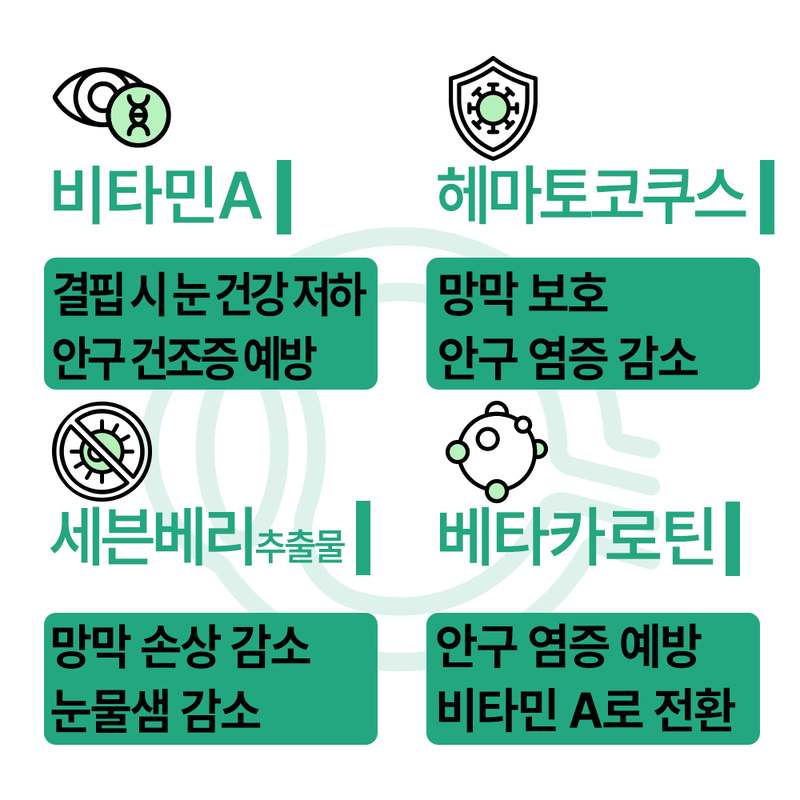 강아지 눈 건강을 위한 영양제, 쉽게 챙기기 좋은 선택!