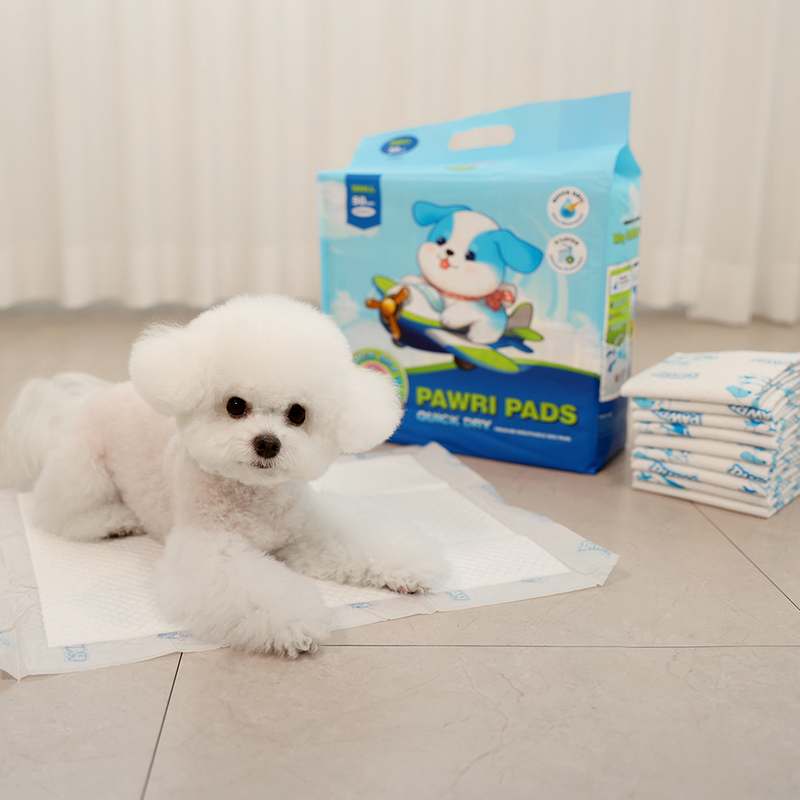 일상에서 편하게 쓰는 대형 배변패드 추천, 포우리 퀵드라이 후기