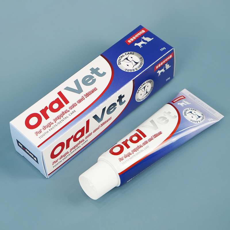 반려동물 입냄새 걱정 끝! 간편하게 구취 제거하는 방법