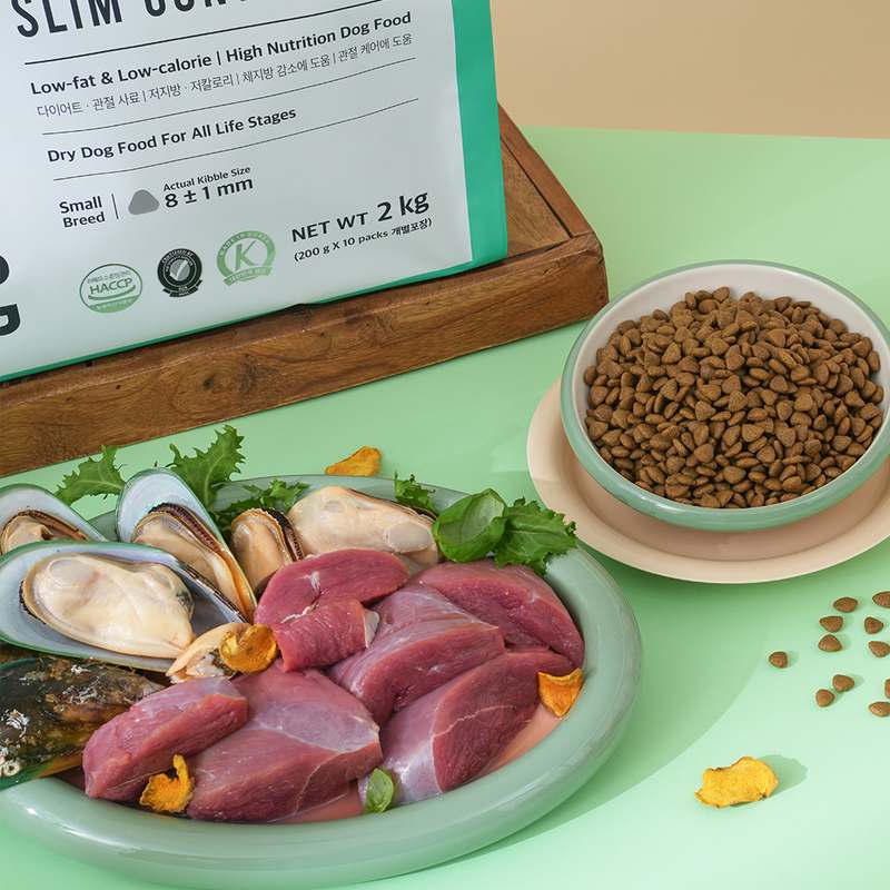 강아지 건강을 위한 저알러지 사료, 믿고 선택하는 시그니처 2.0