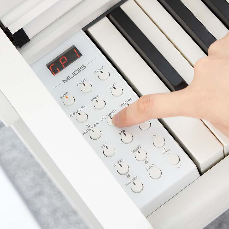 일상에서 쉽게 만나는 디지털 피아노, 뮤디스 MF-300L Plus 이야기