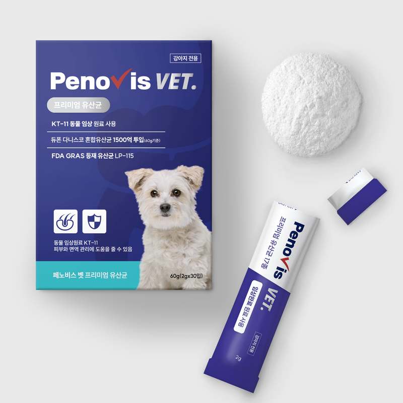 우리 강아지 건강을 위한 유산균 선택, 이렇게 해보세요!