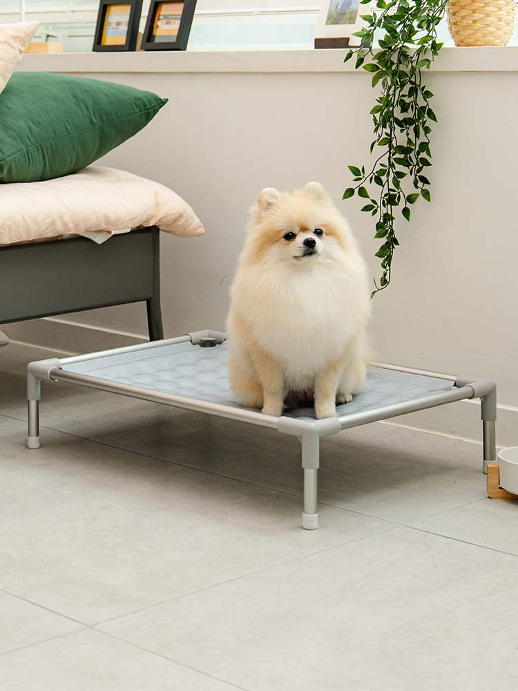 더운 날씨에 딱! 강아지와 고양이 모두 시원하게 쉴 수 있는 쿨매트 추천