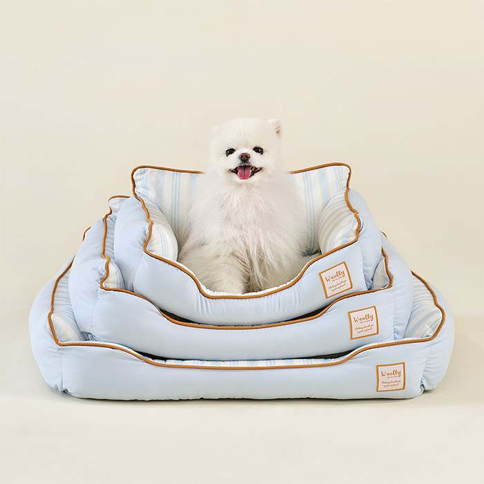 더운 여름철 강아지와 고양이도 시원하게! 울리 쿨링 필로우 추천