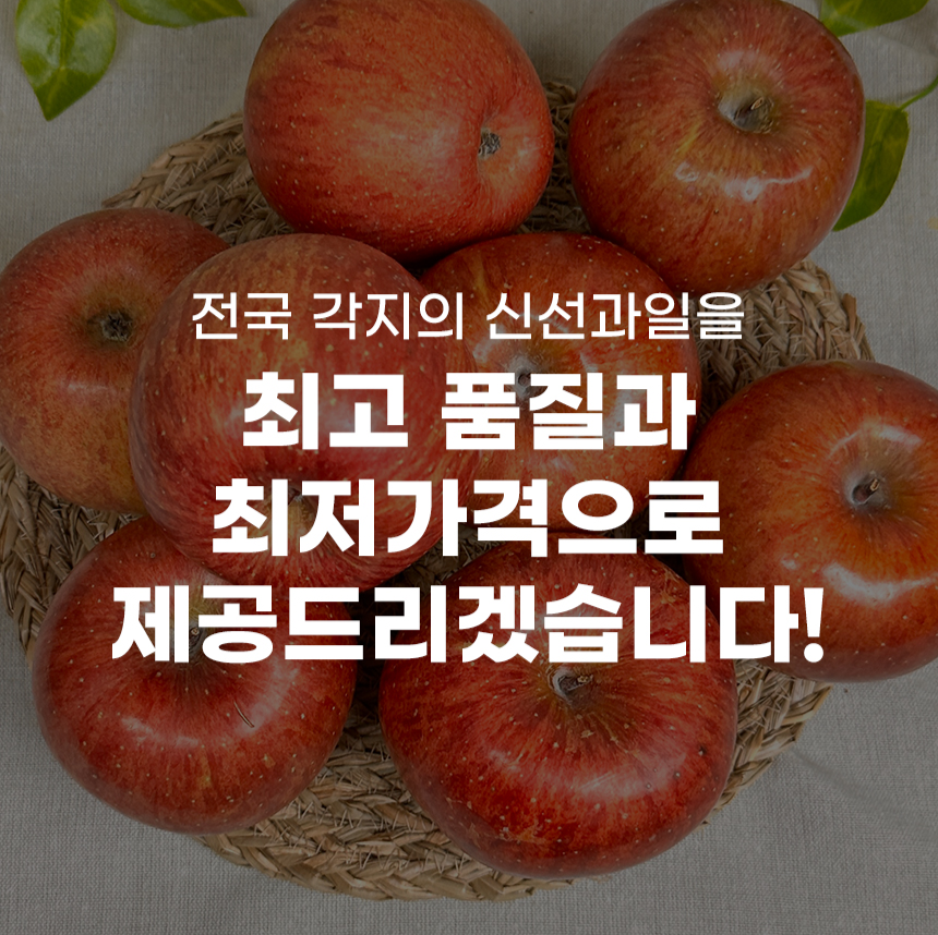 못생겨도 맛은 최고! 문경 사과 5kg과 청송 사과 10kg 추천