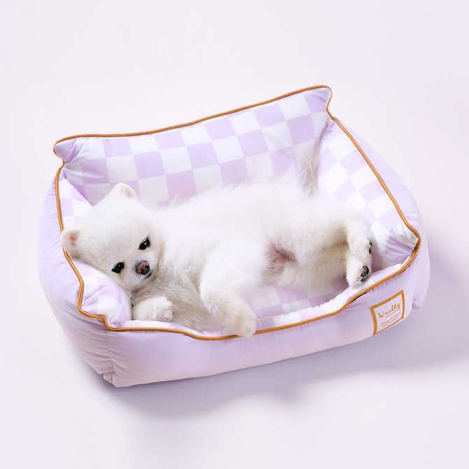 여름철 강아지와 고양이에게 딱인 쿨방석, 어떤 제품이 좋을까?