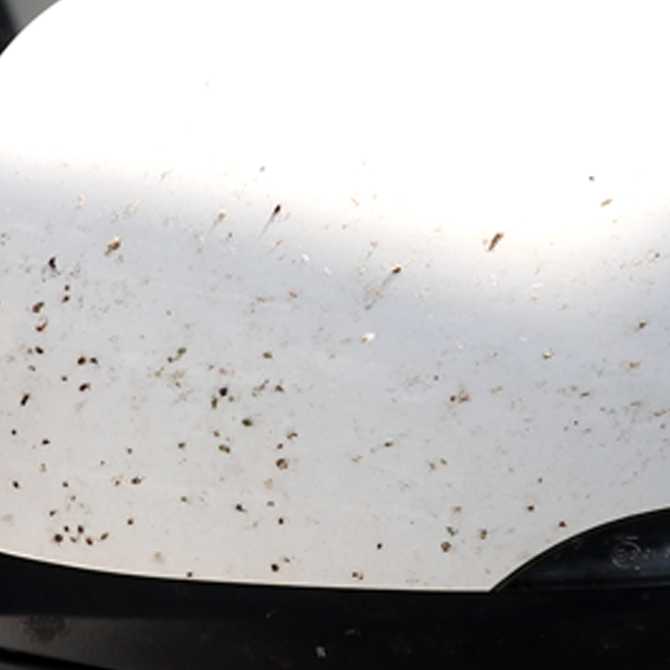 간편하게 벌레 자국 제거! 더클래스 킬스 버그 노터치 리무버 소개