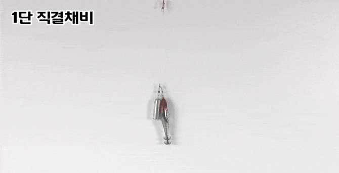 쉽고 간편하게 쭈꾸미와 갑오징어를 잡는 채비, 델리온 델리리그 2세대