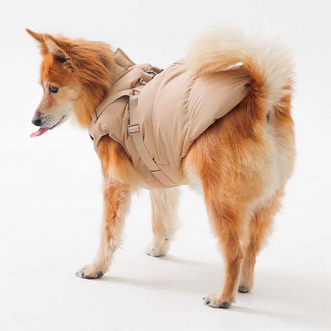 따뜻하게 입히기 좋은 강아지 겨울 조끼, 패딩 하네스 추천