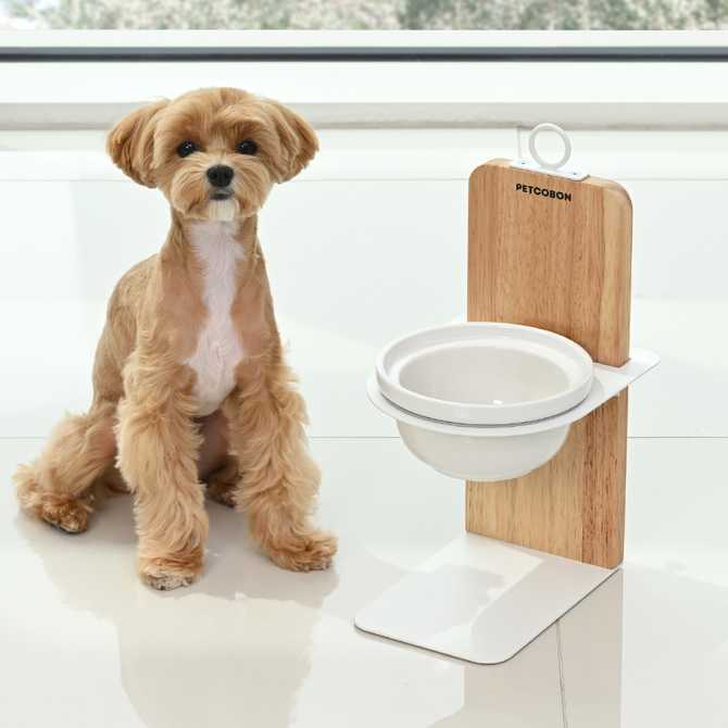 집에서 편하게 사용할 수 있는 원목과 철제 높이 조절 강아지밥그릇
