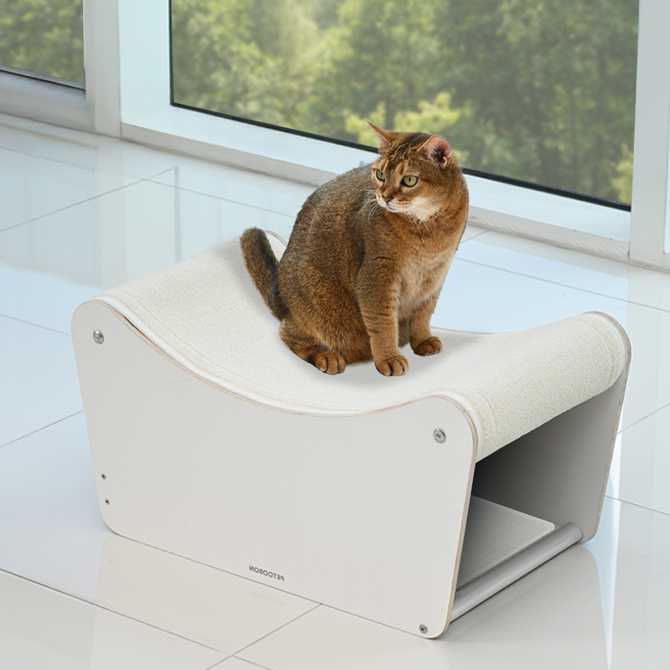고양이 집과 스크래쳐를 한 번에! 펫코본 원목 소파형 숨숨집