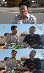 [셀럽소식] 나영석 PD, 강호동 봄동비빔밥의 진실 공개! 얼갈이배추였던 비밀 밝혀져
