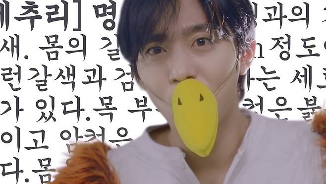 SBS 새 로맨스코미디 ‘오늘도 매진했습니다’ 기대감 UP! 2024년 방영 예정