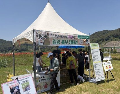 유기동물 입양 확대 하동군 왜 하동군은 유기동물 입양 확대에 집중하는가? 관련 뉴스 이미지