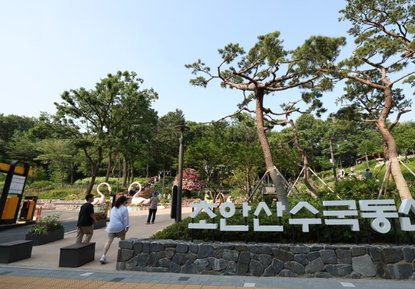 초안산 수국동산 수국축제와 지역경제에 미치는 영향은? 관련 뉴스 이미지