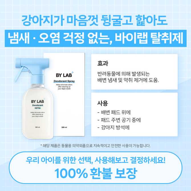 강아지 냄새와 오줌 얼룩, 쉽게 제거하는 방법 알려드릴게요