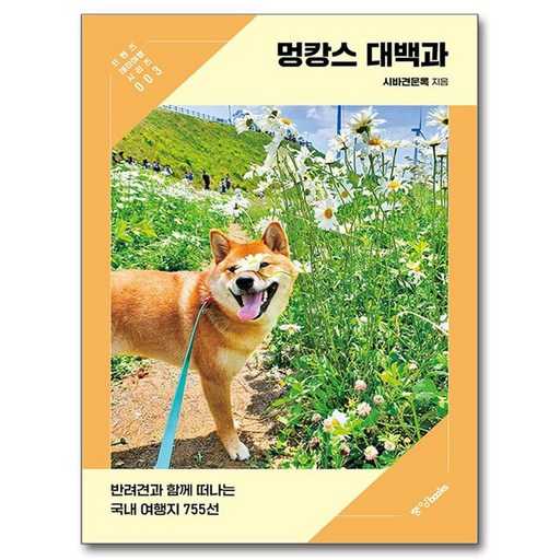 반려견과 함께 떠나는 국내 여행, 어디가 좋을까? 1