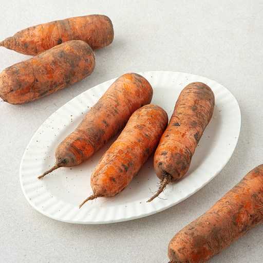 제주 흙당근, 신선함과 자연의 맛을 동시에 즐기기 1