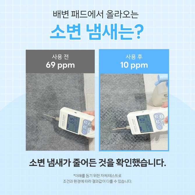 강아지 냄새와 오줌 얼룩, 쉽게 제거하는 방법 알려드릴게요