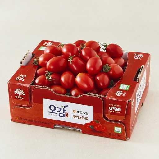 신선하고 안전한 대추방울토마토 고르는 방법, 함께 알아봐요 1