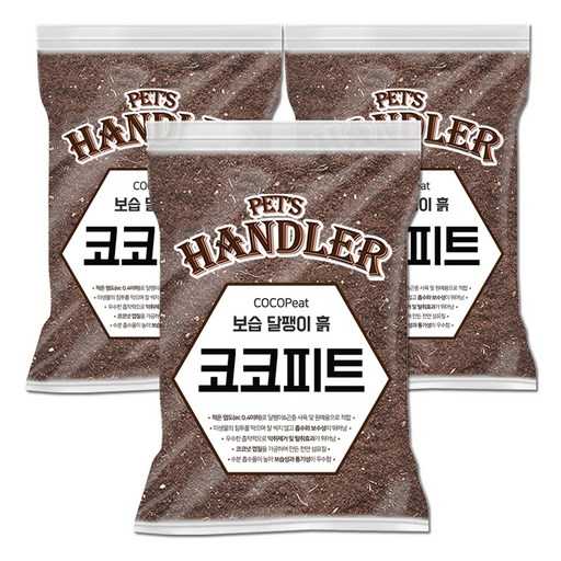 반려동물 피부 건강을 위한 자연 성분 제품, 어떤 걸 선택할까?